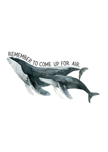 Whale Sticker - NCPW 23'