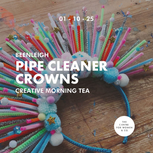 Pipe Cleaner Crowns (Beenleigh) 01.10.2025